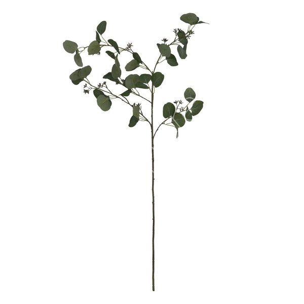 Colmore Eukalyptus Grün 113cm