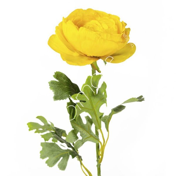 Colmore Kunstblume Blüte Ranukel Gelb 68cm