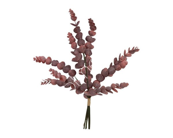 Colmore Eukalyptus Rosa/Lila Bund  61cm