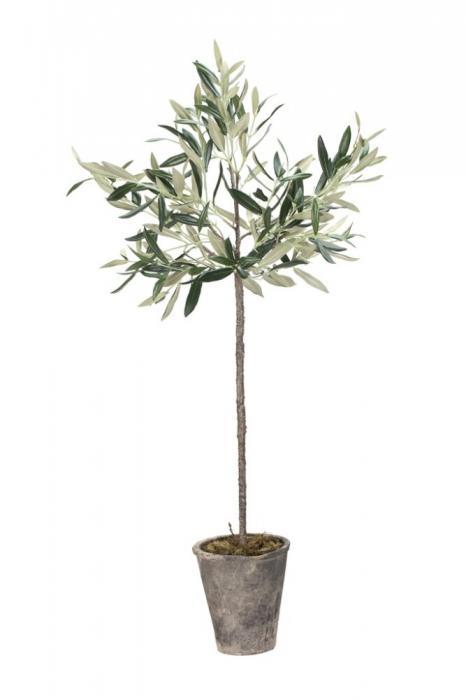 Lene Bjerre Kunst Olivenbaum Flora 73cm
