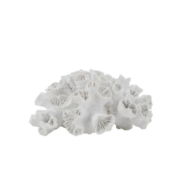 Coastel Living Collection Dekoobjekt Corale  Weiß 20cm